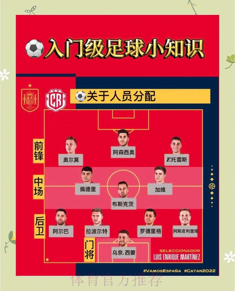 世界杯比分官网入口与地址导航指南